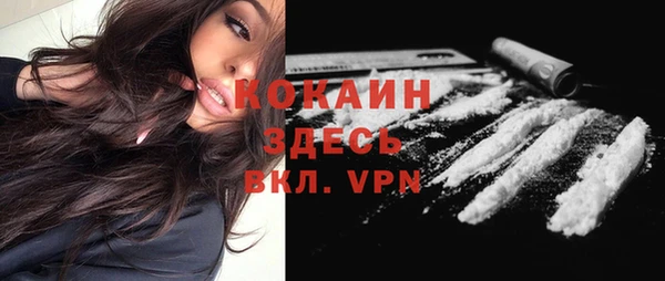 не бодяженный Каменск-Шахтинский
