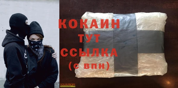 прущие крисы Каменка