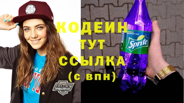 бошки Инта