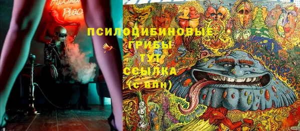 бошки Инта