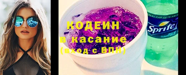 бошки Инта
