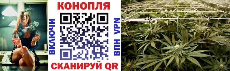 что такое   Трубчевск  Бошки Шишки марихуана 